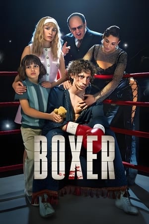 Boxer